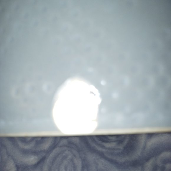 Dog bowl NWT Target Note: there is a chip on this dog bowl Boots & Barkley Stone - Picture 8 of 9